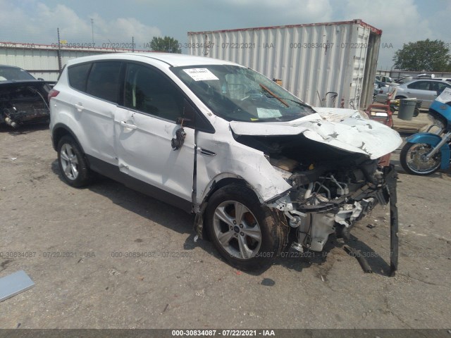 FORD ESCAPE 2014 1fmcu0gxxeue11857