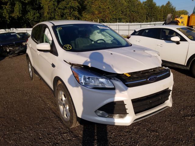 FORD ESCAPE SE 2014 1fmcu0gxxeue30487