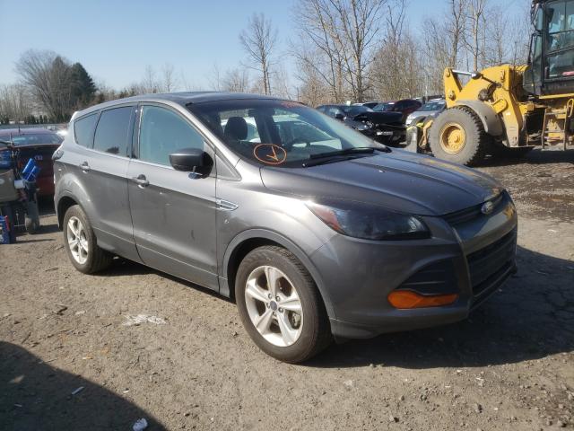 FORD ESCAPE SE 2014 1fmcu0gxxeue41506