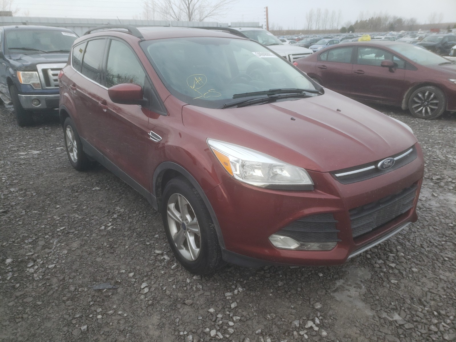 FORD ESCAPE SE 2014 1fmcu0gxxeue42817