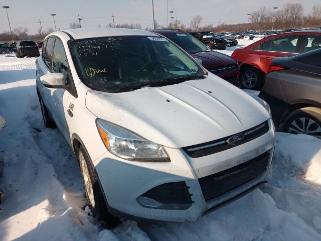 FORD ESCAPE SE 2016 1fmcu0gxxgua45739