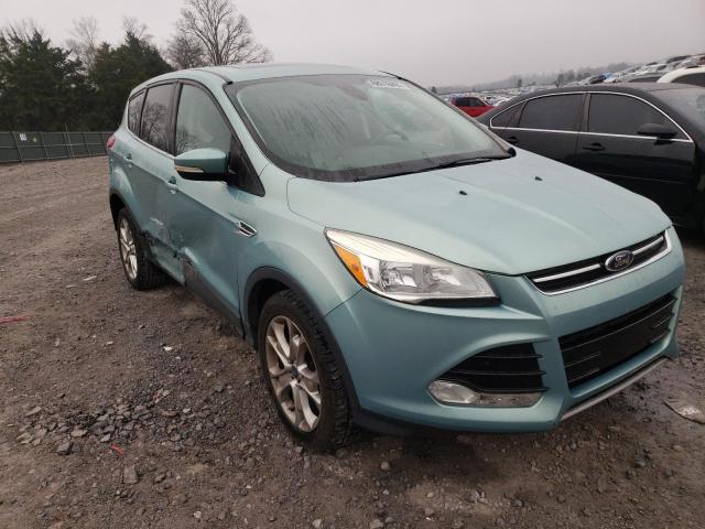 FORD ESCAPE SEL 2013 1fmcu0h90dub16040