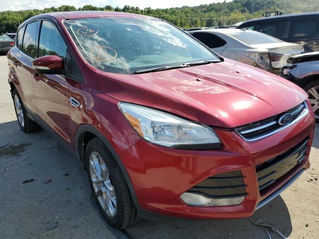 FORD ESCAPE SEL 2013 1fmcu0h90dud35872