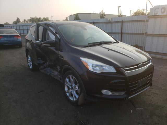 FORD ESCAPE SEL 2013 1fmcu0h91dua47388