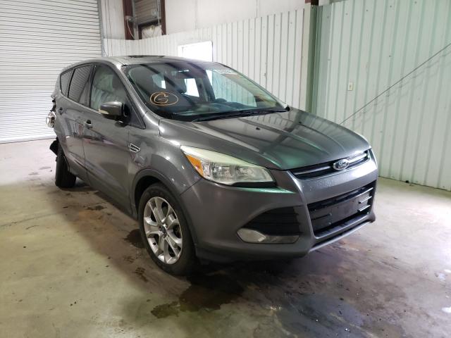 FORD ESCAPE SEL 2013 1fmcu0h93dua10780