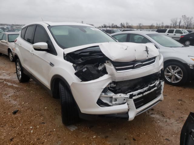 FORD ESCAPE SEL 2013 1fmcu0h93duc27021