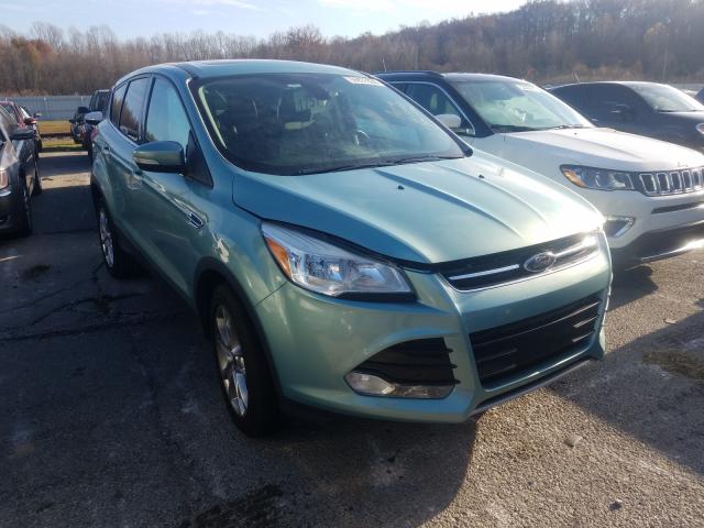 FORD ESCAPE SEL 2013 1fmcu0h93dud11341