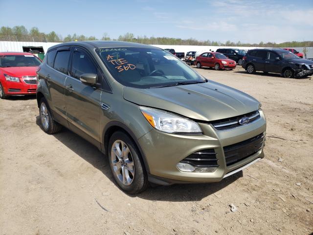 FORD ESCAPE SEL 2013 1fmcu0h94dub29955