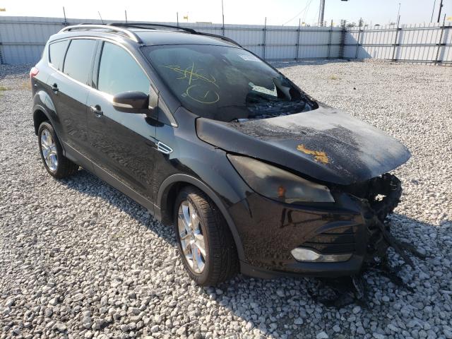 FORD ESCAPE SEL 2013 1fmcu0h94duc43891