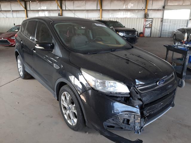 FORD ESCAPE SEL 2013 1fmcu0h94duc94520