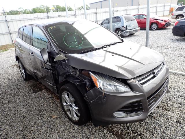 FORD ESCAPE SEL 2013 1fmcu0h95dud56149