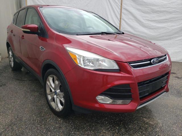 FORD ESCAPE SEL 2013 1fmcu0h96dua30828