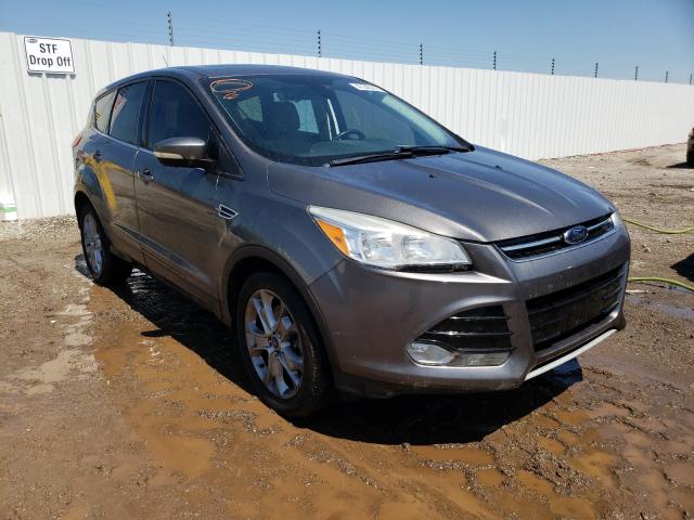 FORD ESCAPE SEL 2013 1fmcu0h97dua29994