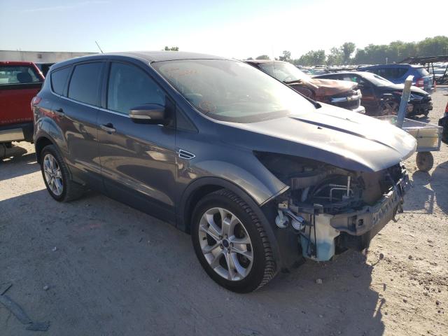 FORD ESCAPE SEL 2013 1fmcu0h97duc56800