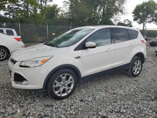 FORD ESCAPE SEL 2013 1fmcu0h97duc92390