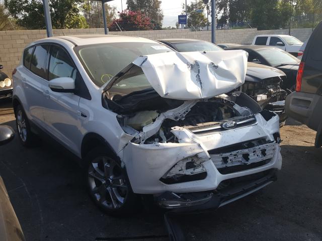 FORD ESCAPE SEL 2013 1fmcu0h98dua14100