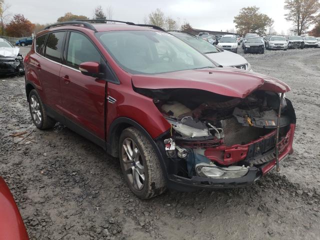 FORD ESCAPE SEL 2013 1fmcu0h98dua38817