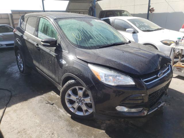 FORD ESCAPE SEL 2013 1fmcu0h98dub68709