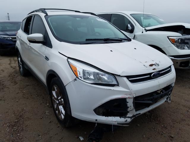 FORD ESCAPE SEL 2013 1fmcu0h98dud91977