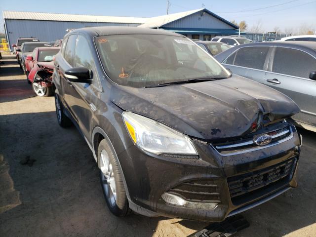 FORD ESCAPE SEL 2013 1fmcu0h99dua29902