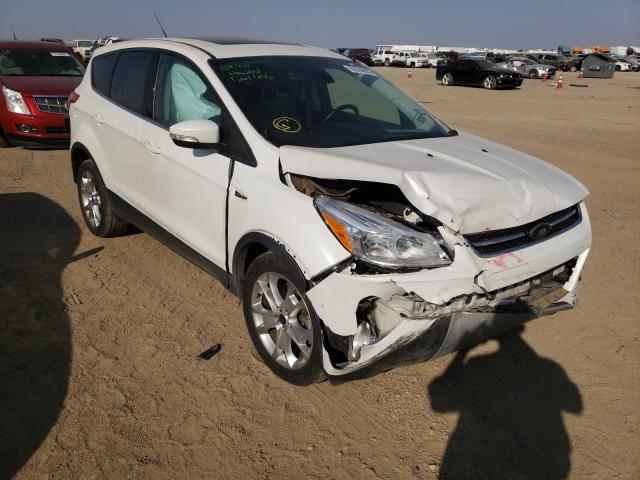 FORD ESCAPE SEL 2013 1fmcu0h99duc04018