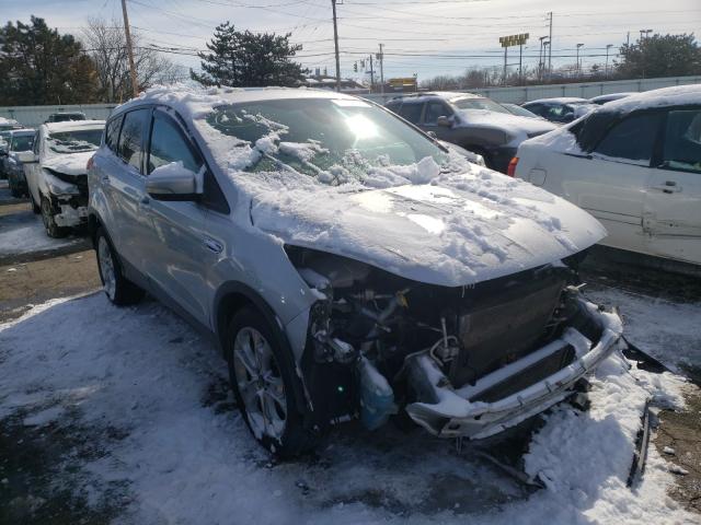 FORD ESCAPE SEL 2013 1fmcu0h99duc36936