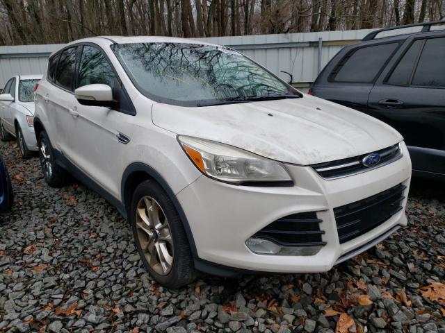 FORD ESCAPE SEL 2013 1fmcu0h99duc40999