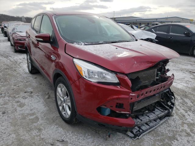 FORD ESCAPE SEL 2013 1fmcu0h99duc45524