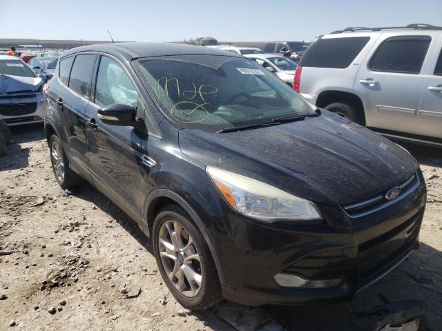 FORD ESCAPE SEL 2013 1fmcu0h99duc79446