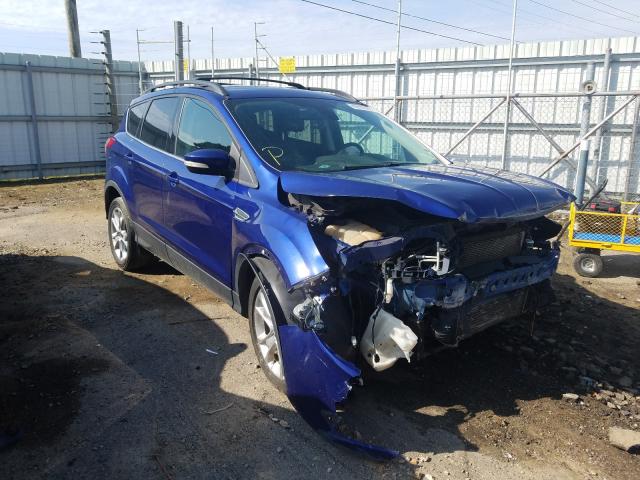 FORD ESCAPE SEL 2013 1fmcu0h9xduc85028