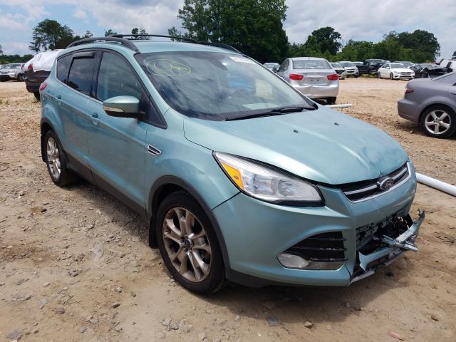 FORD ESCAPE SEL 2013 1fmcu0h9xdud48239