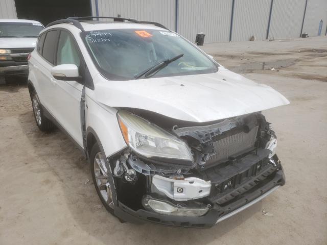 FORD ESCAPE SEL 2013 1fmcu0h9xdud64778