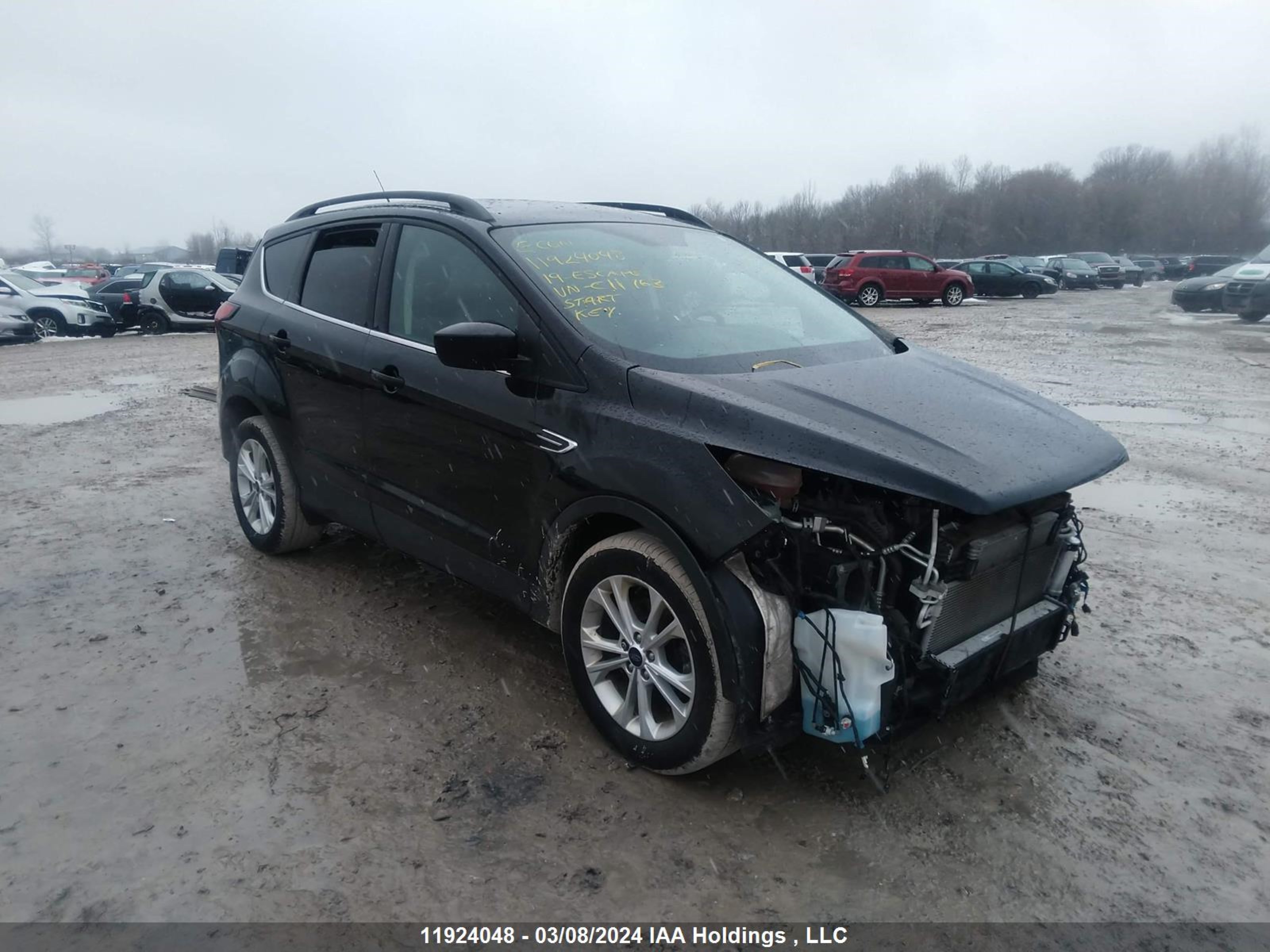 FORD ESCAPE 2019 1fmcu0hd9kuc11763