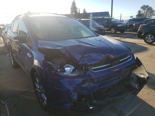 FORD ESCAPE SEL 2013 1fmcu0hx0dua58297