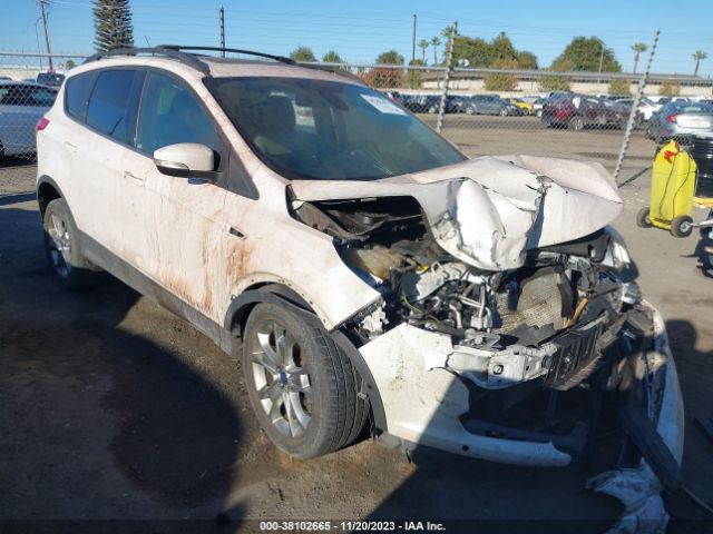 FORD ESCAPE 2013 1fmcu0hx0dub13542