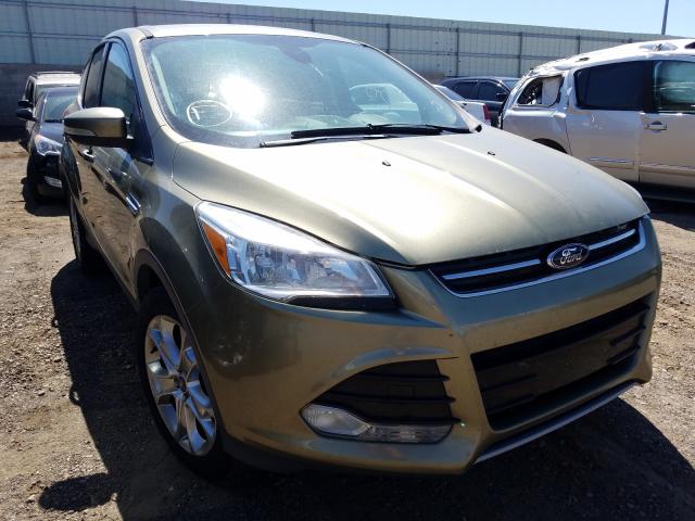 FORD ESCAPE SEL 2013 1fmcu0hx0dub50980