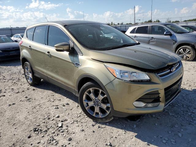 FORD ESCAPE SEL 2013 1fmcu0hx0dub53250