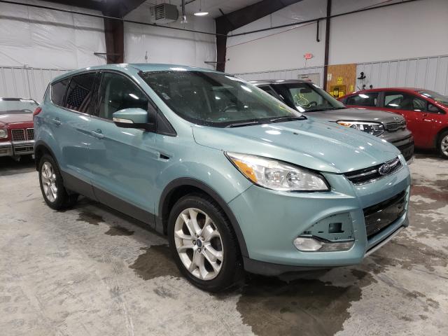 FORD ESCAPE SEL 2013 1fmcu0hx0dud69308