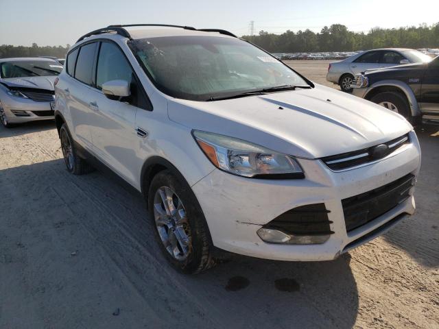 FORD ESCAPE SEL 2013 1fmcu0hx0dud85590