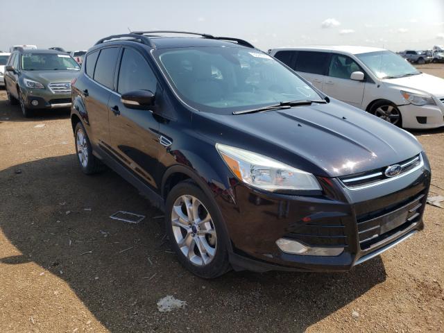 FORD ESCAPE SEL 2013 1fmcu0hx1dua01560