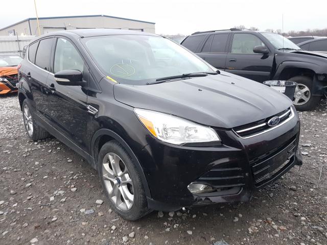 FORD ESCAPE SEL 2013 1fmcu0hx1dua93575