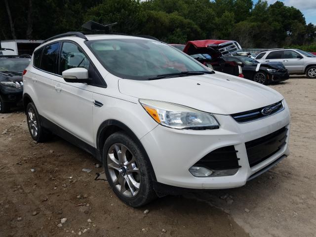 FORD ESCAPE SEL 2013 1fmcu0hx1dub06177