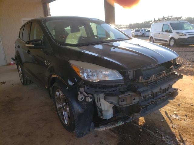 FORD ESCAPE SEL 2013 1fmcu0hx1dub47425