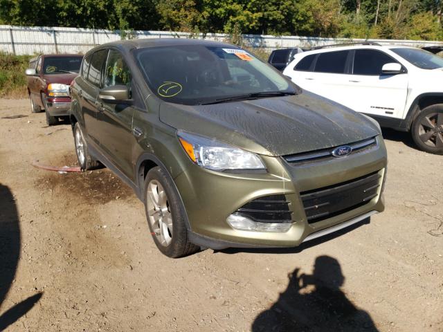 FORD ESCAPE SEL 2013 1fmcu0hx1dub81168