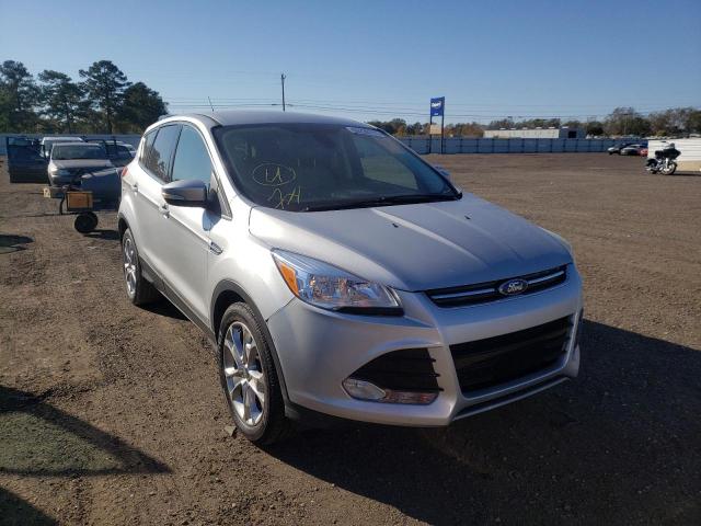 FORD ESCAPE SEL 2013 1fmcu0hx1dud11966