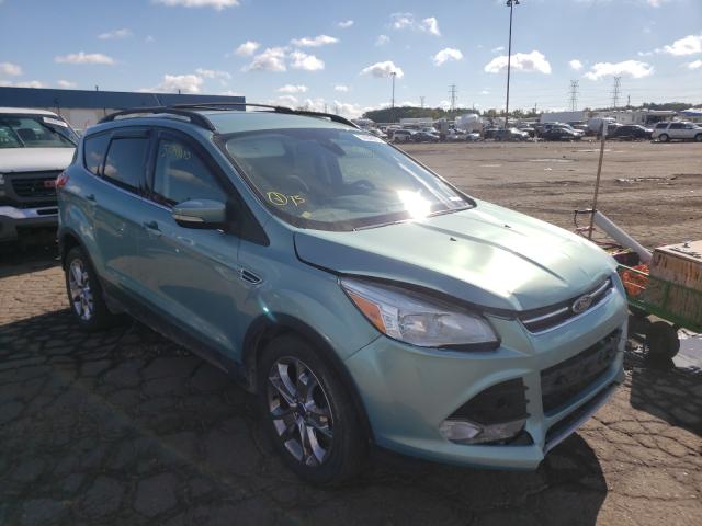 FORD ESCAPE SEL 2013 1fmcu0hx2dua01079