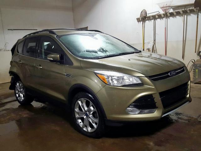 FORD ESCAPE SEL 2013 1fmcu0hx2dua02443