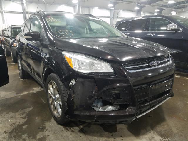 FORD ESCAPE SEL 2013 1fmcu0hx2dua04242