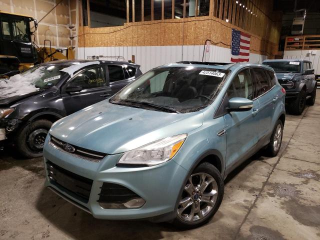 FORD ESCAPE SEL 2013 1fmcu0hx2dua19842