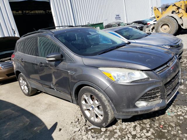 FORD ESCAPE SEL 2013 1fmcu0hx2dua29433